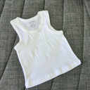 _MG_6354.webp