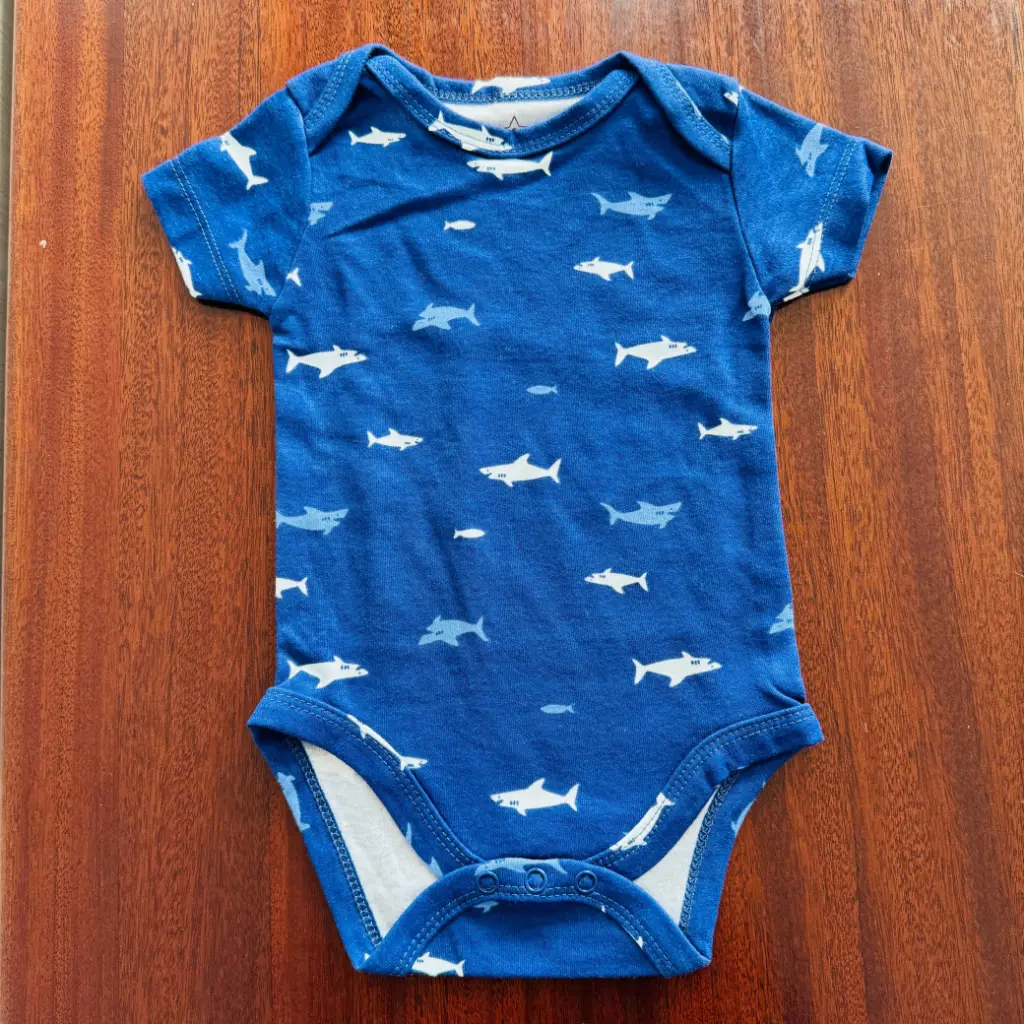 [0034] ONESIES THRIFT