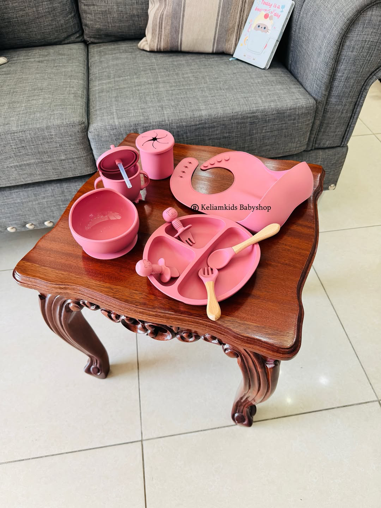 Silicone Feeding Set
