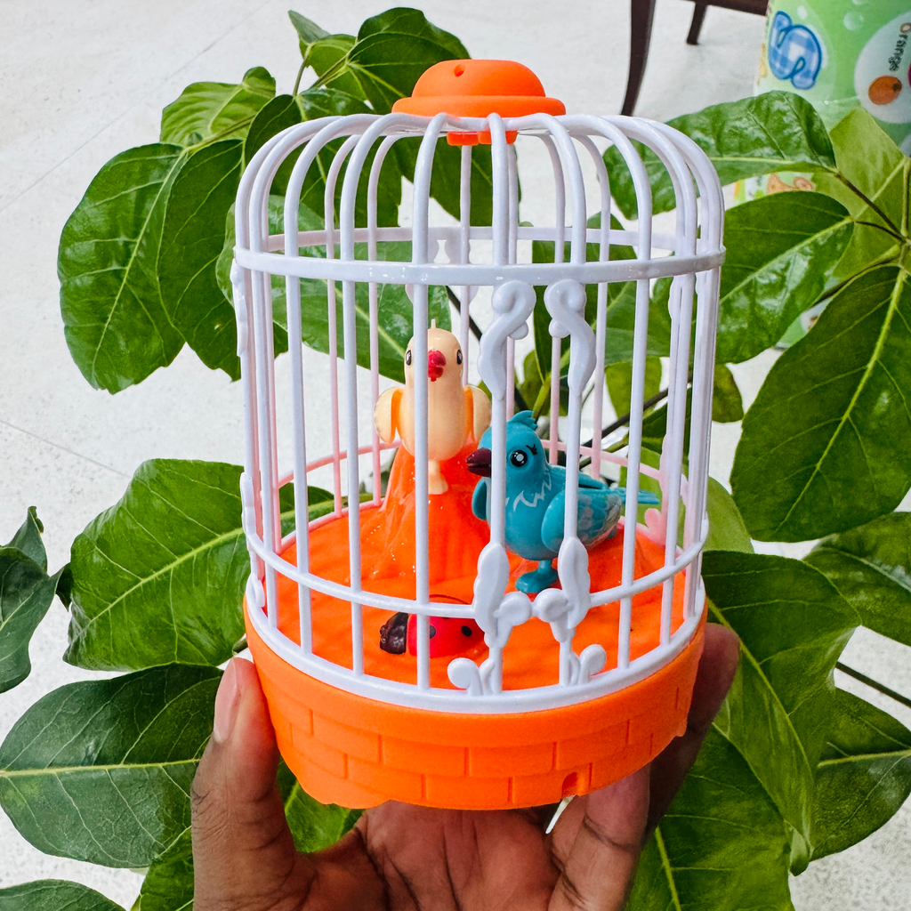Kids Talking Bird Toy 1K