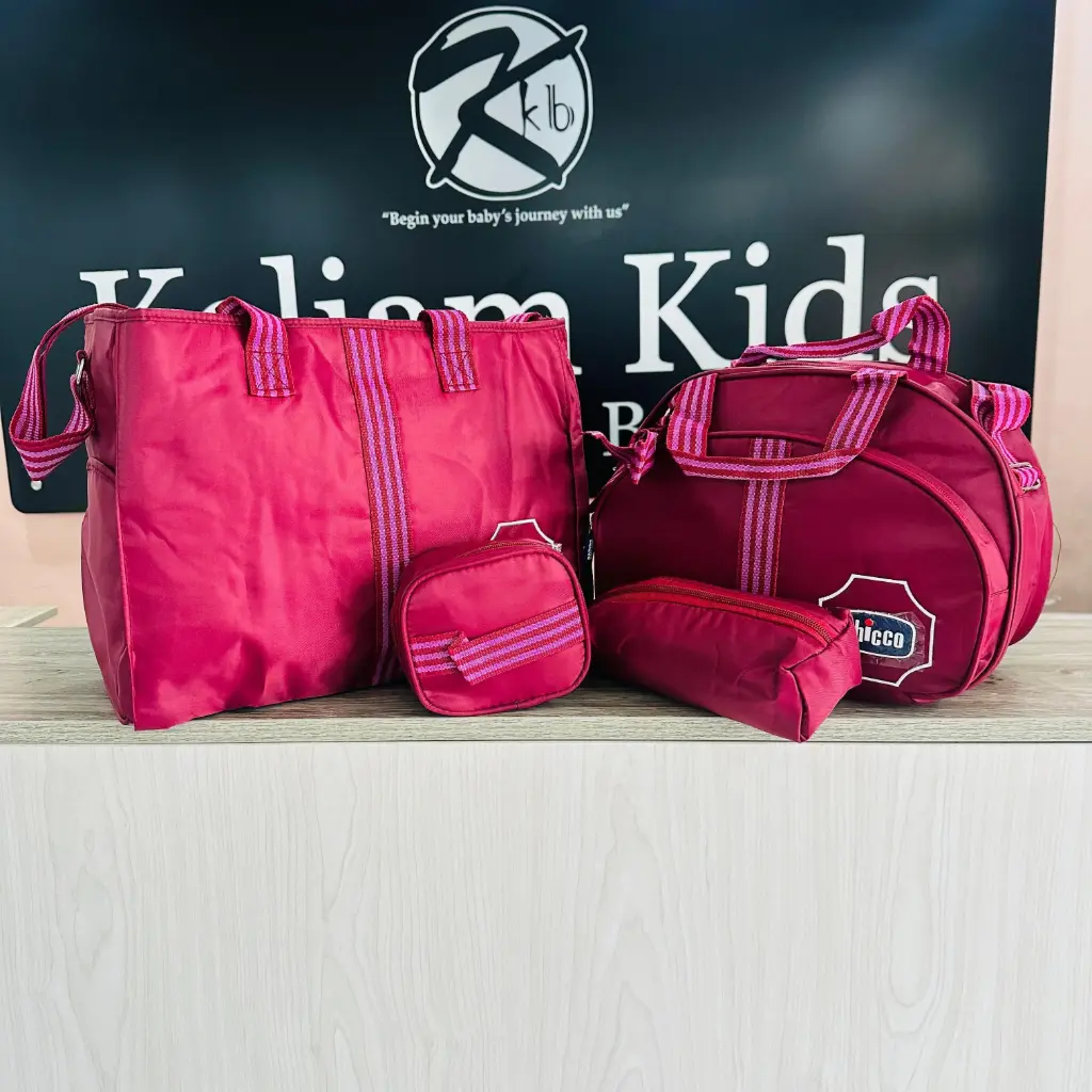 Chicco 5 in 1 Baby Diaper Bag Set