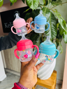 Momeasy Wide Neck PP Feeding Bottle with Anti-Colic Nipple